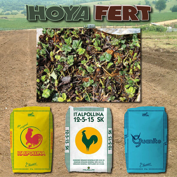 Sve potrebno za đubrenje prilikom pripreme zemljišta pre sadnje biljaka jagode