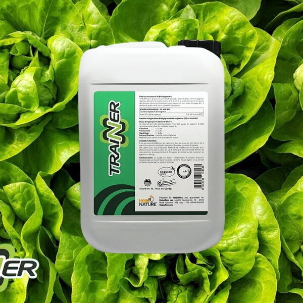 TRAINER - sve što trebate da znate