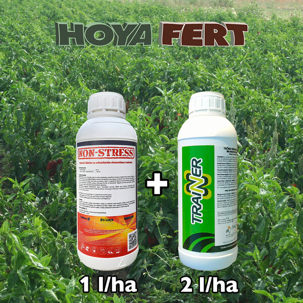 Sprečite pad kvaliteta i prekid procesa zrenja zbog pada temperature