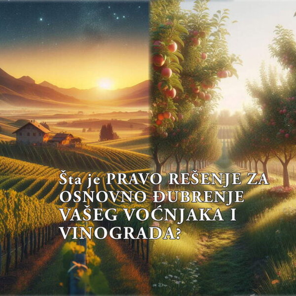 Šta je PRAVO REŠENJE ZA OSNOVNO ĐUBRENJE VAŠEG VOĆNJAKA I VINOGRADA?