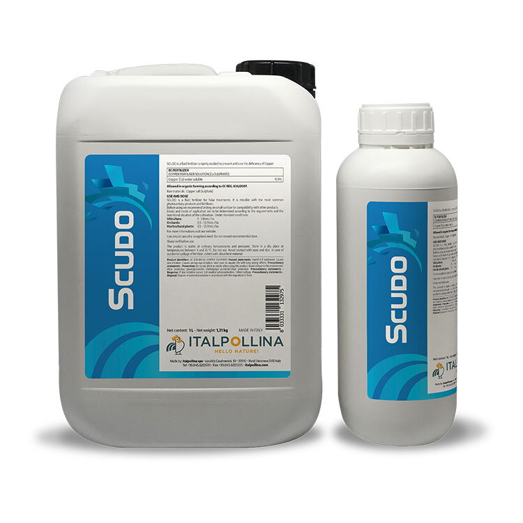scudo