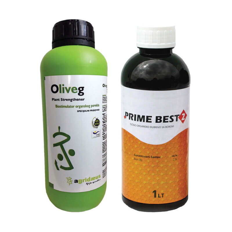 oliveg-prime-best