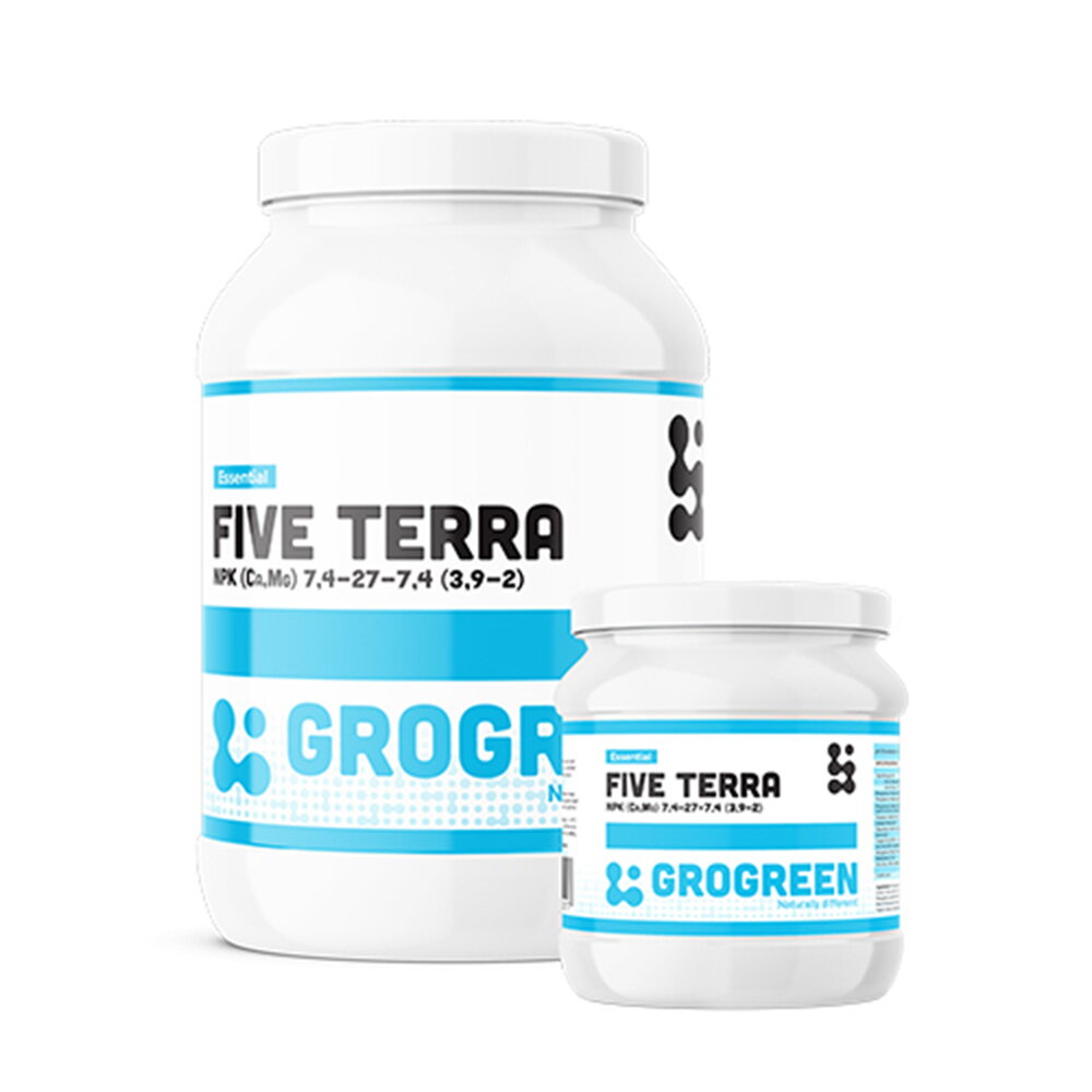 gel-five-terra